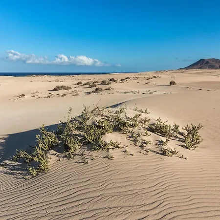 Home2book Ocean Surf House Fuerteventura Villa *